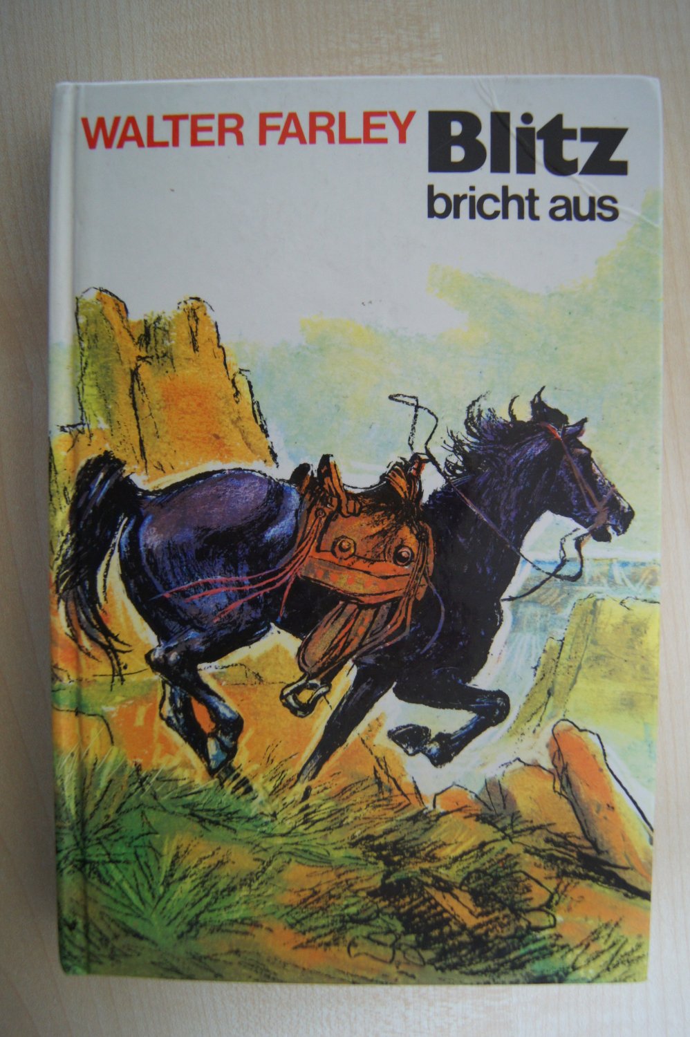 „Blitz bricht aus“ (Walter Farley) Buch gebraucht kaufen A02qjlJe01ZZA