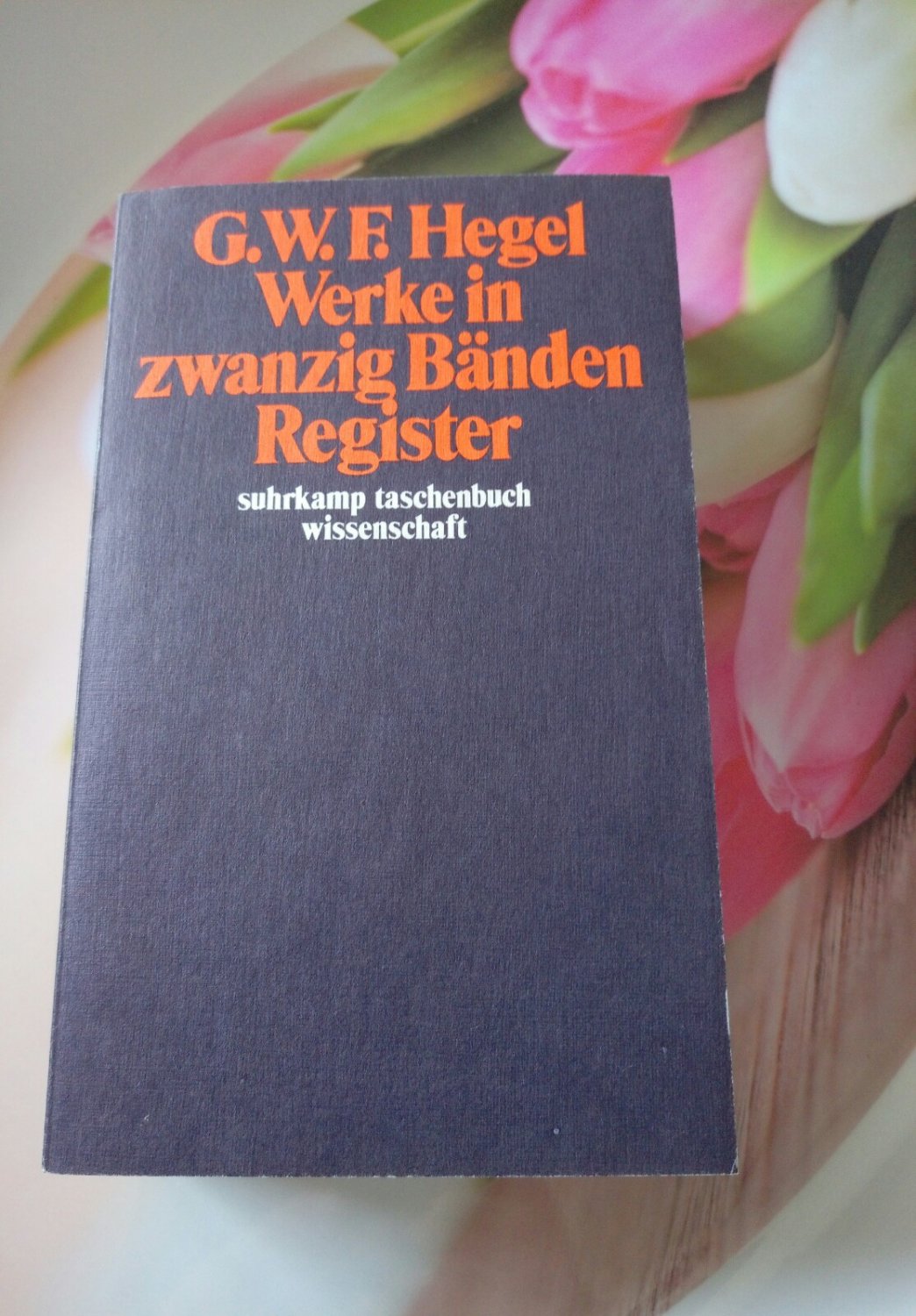 ISBN 3518282212 "Werke In 20 Bänden Mit Registerband - Register ...