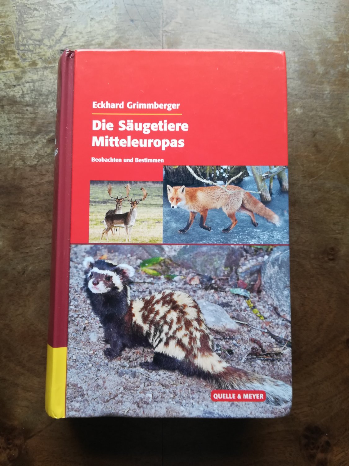 Die Saugetiere Mitteleuropas Beobachten Und Bestimmen Bucher Gebraucht Antiquarisch Neu Kaufen