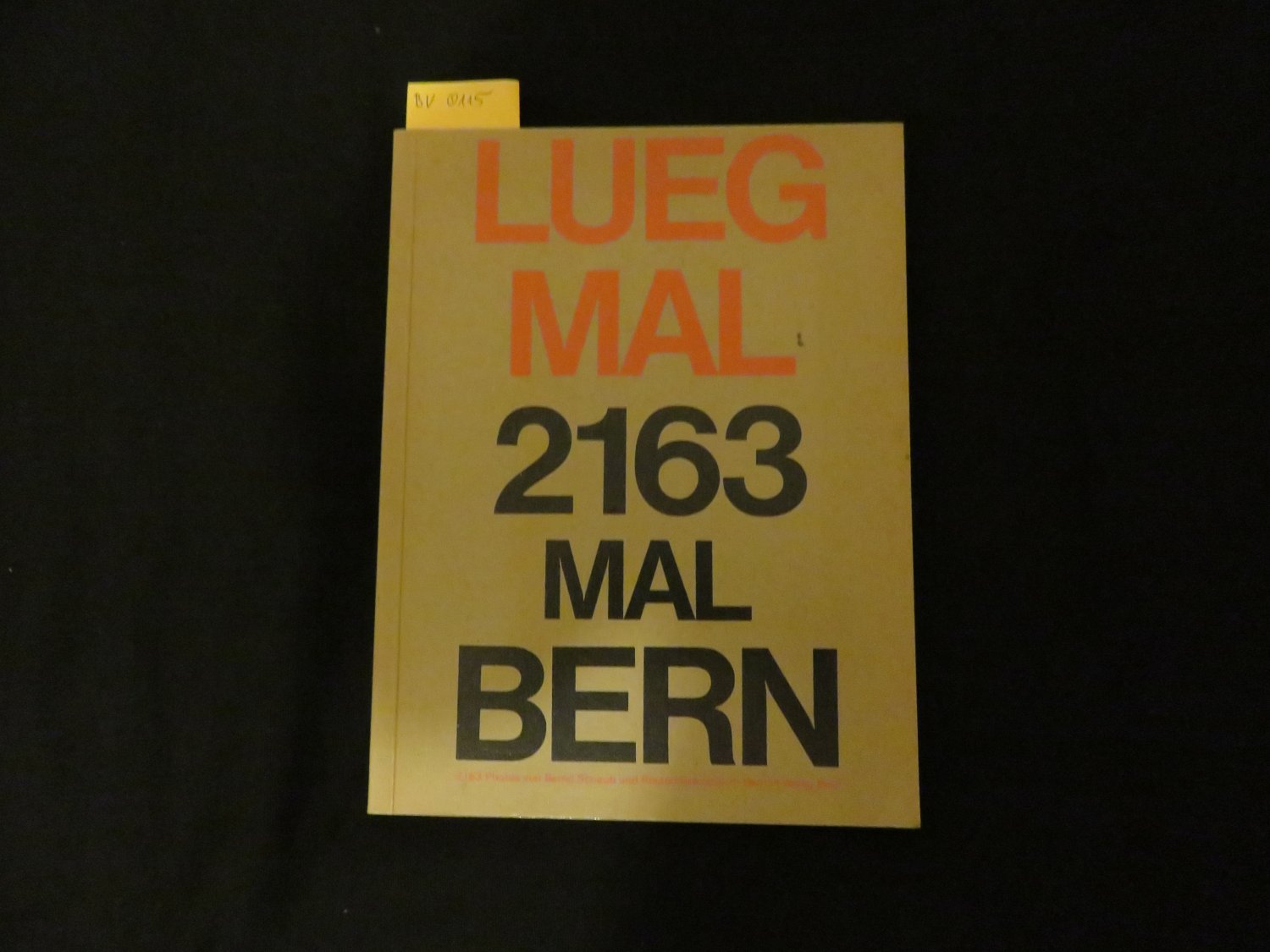 [Bild: Bernd-St%C3%A4mpfli-Schaub+Lueg-mal-2163-MAL-BERN.jpg]