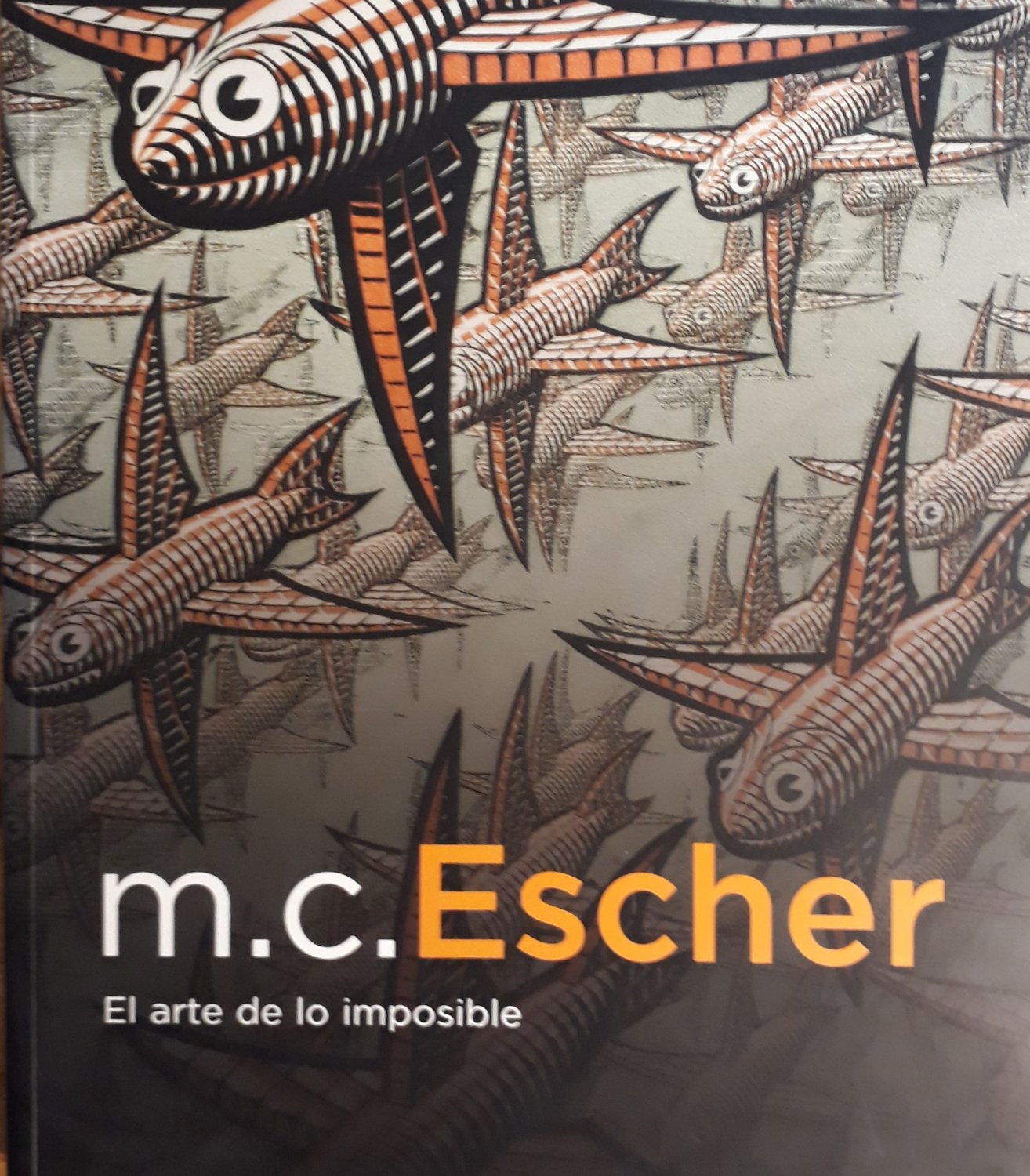 El Arte De Lo Imposible M C Escher Buch Gebraucht Kaufen A02rqvev01zze