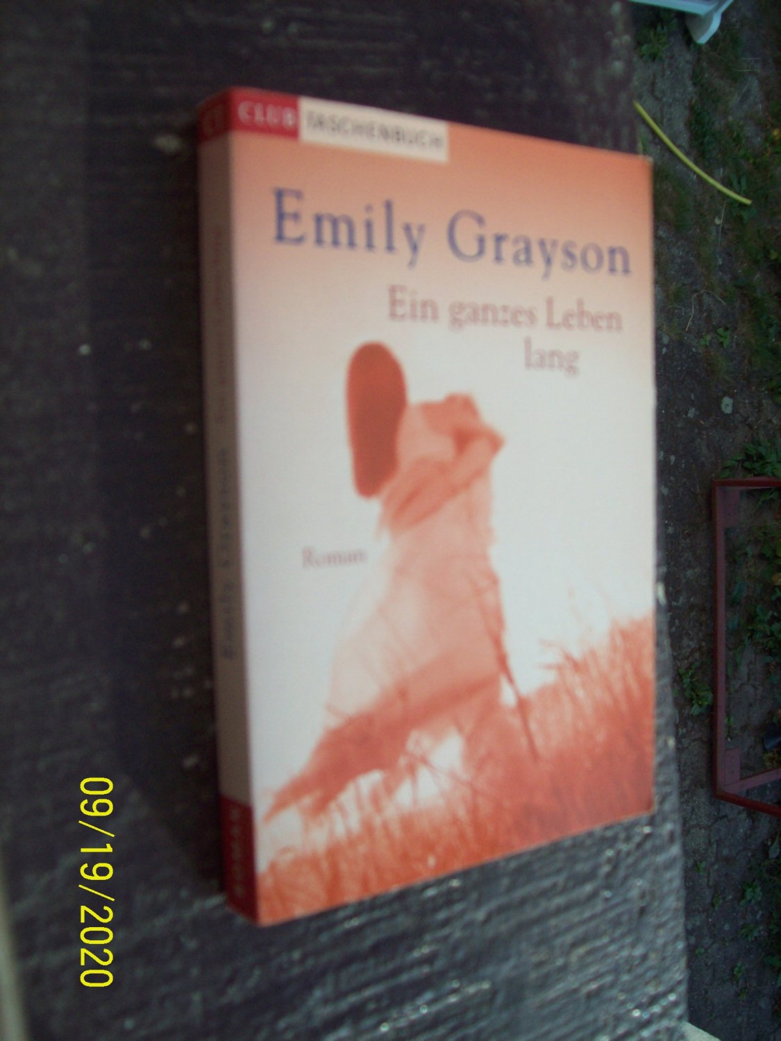 Ein Ganzes Leben Lang Emily Grayson Buch Gebraucht Kaufen A02rsrn801zzw