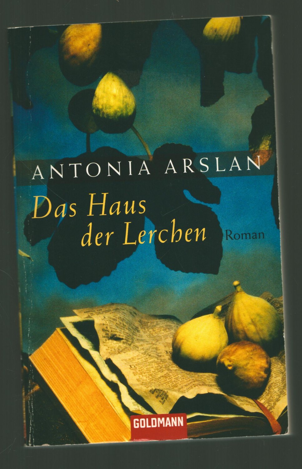 Isbn 9783442464234 Das Haus Der Lerchen Neu Gebraucht Kaufen