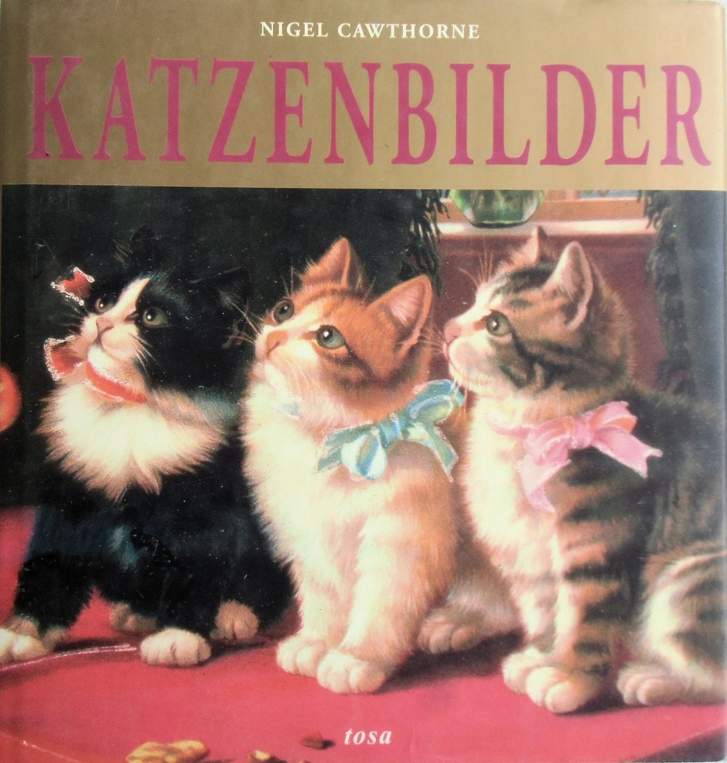 Katzenbilder Bucher Gebraucht Antiquarisch Neu Kaufen