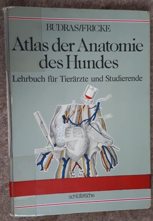 „Atlas Der Anatomie Des Hundes“ – Bücher Gebraucht, Antiquarisch & Neu ...