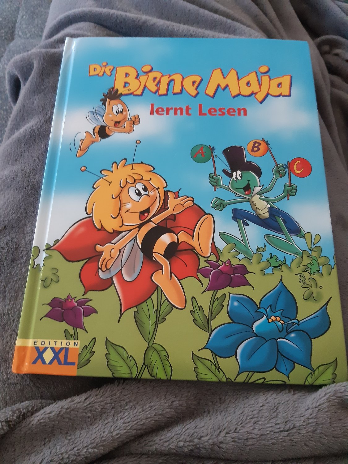 ISBN 9783897364103 "Die Biene Maja lernt Lesen" – neu & gebraucht kaufen - Kinderbuch Von 1912 Die Biene Maja Und Ihre