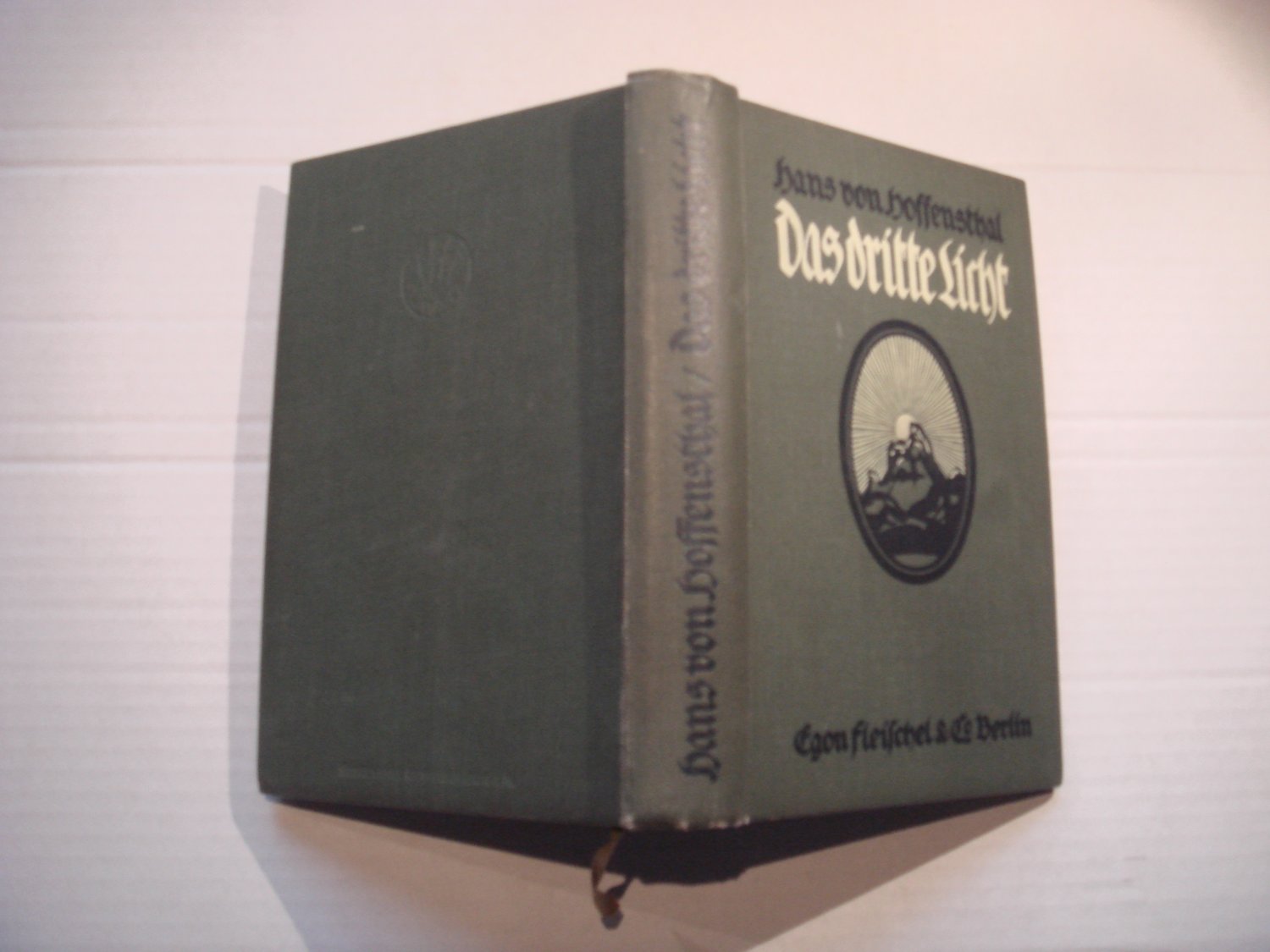 Das dritte Licht: Roman.“ (Hoffensthal, Hans von) – Buch antiquarisch  kaufen – A02tavjC01ZZO