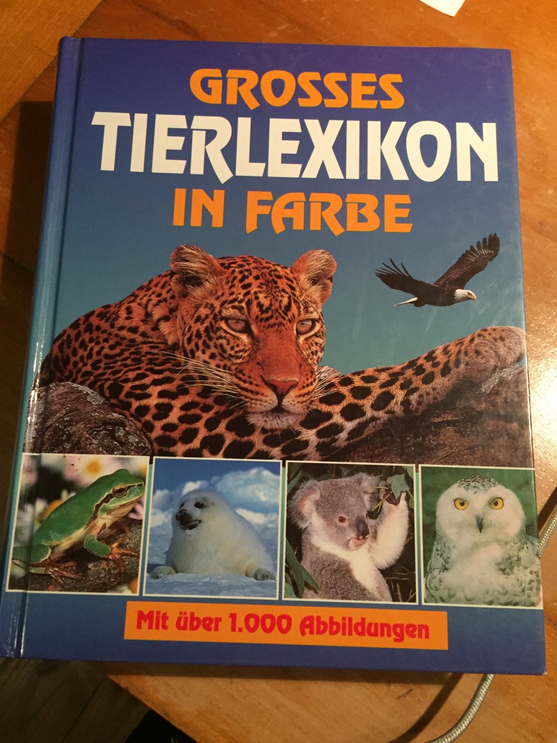 „Grosses Tierlexikon In Farbe“ – Bücher Gebraucht, Antiquarisch & Neu ...