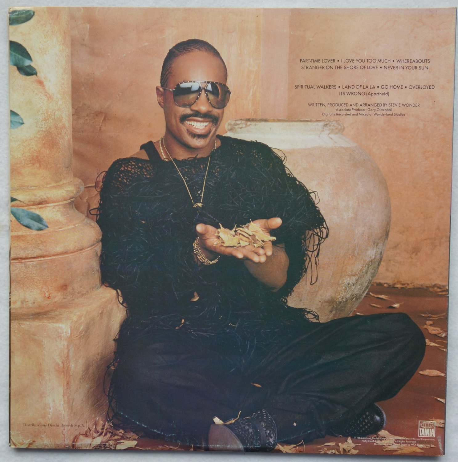 In Square Circle Stevie Wonder Tontrager Gebraucht Kaufen A02pttwz21zzb