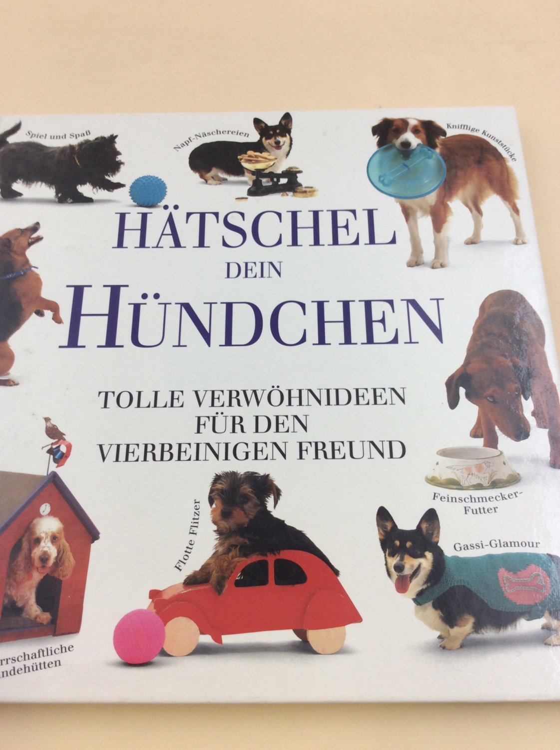 Hatschel Dein Hundchen Bucher Gebraucht Antiquarisch Neu Kaufen