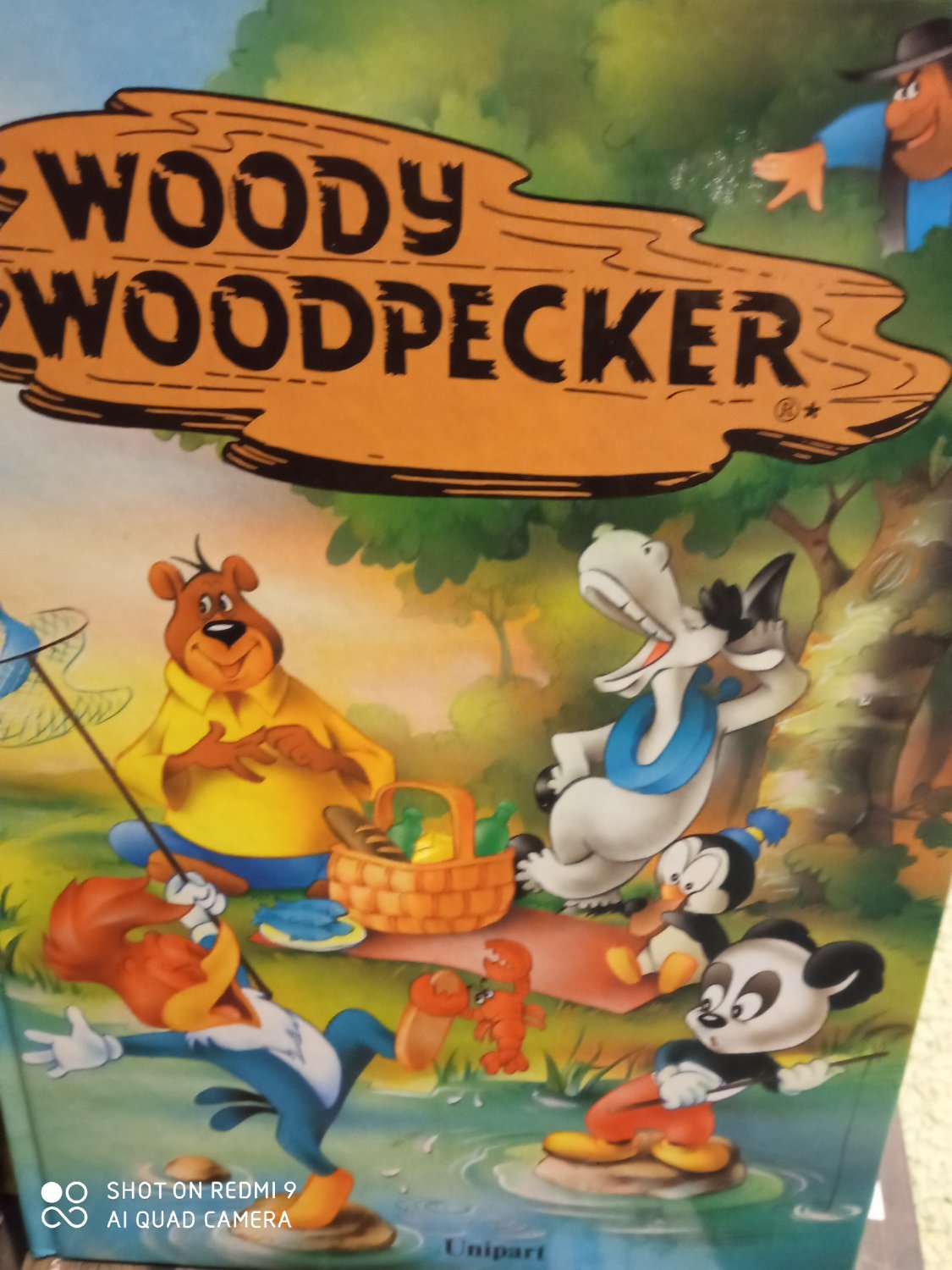 Woody Woodpecker Buch Gebraucht Kaufen A02vovye01zzj