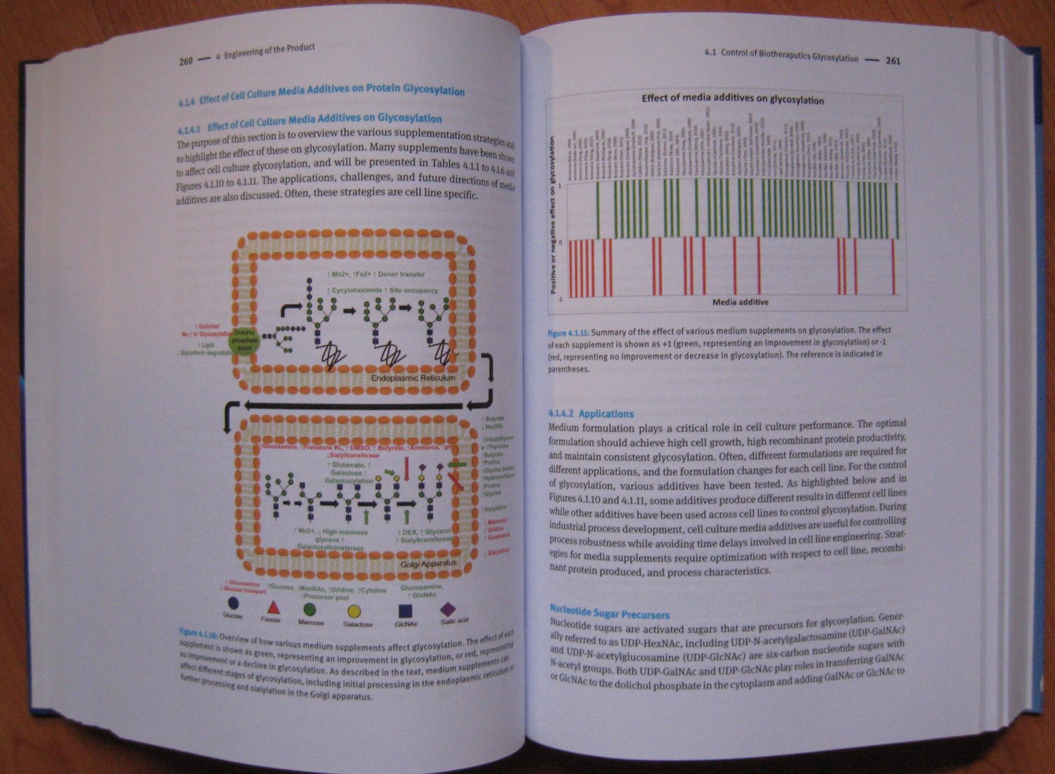 Animal Cell Biotechnology - In Biologics Production“ (Hauser, Hansjörg) – Buch gebraucht kaufen – A02x5e9r01ZZp Animal Cell Biotechnology - In Biologics Production“ (Hauser, Hansjörg) – Buch gebraucht kaufen – A02x5e9r01ZZp
