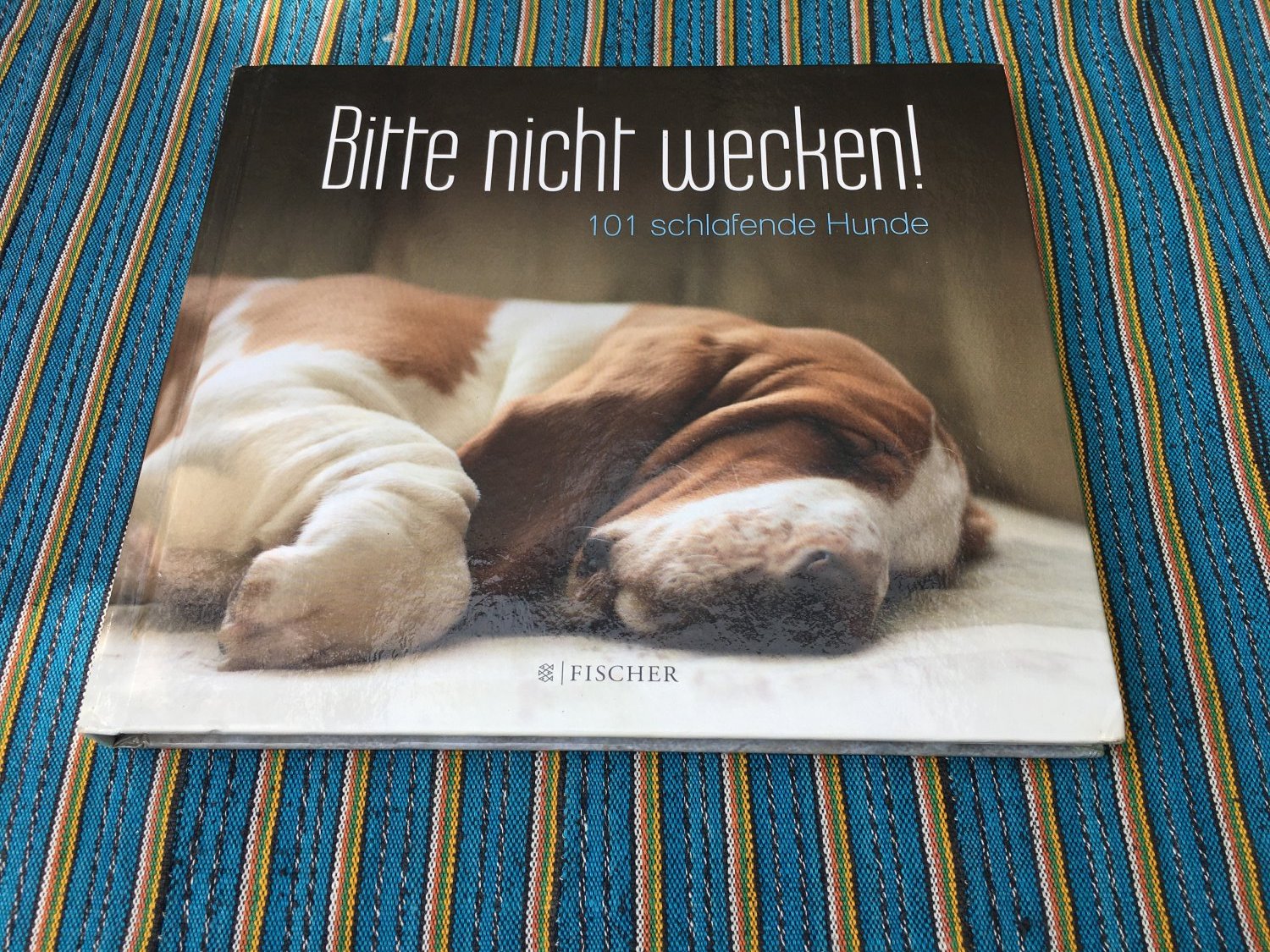 S. Fischer Verlag, Bitte nicht wecken - 101 schlafende Hunde“ – Bücher gebraucht, antiquarisch neu kaufen