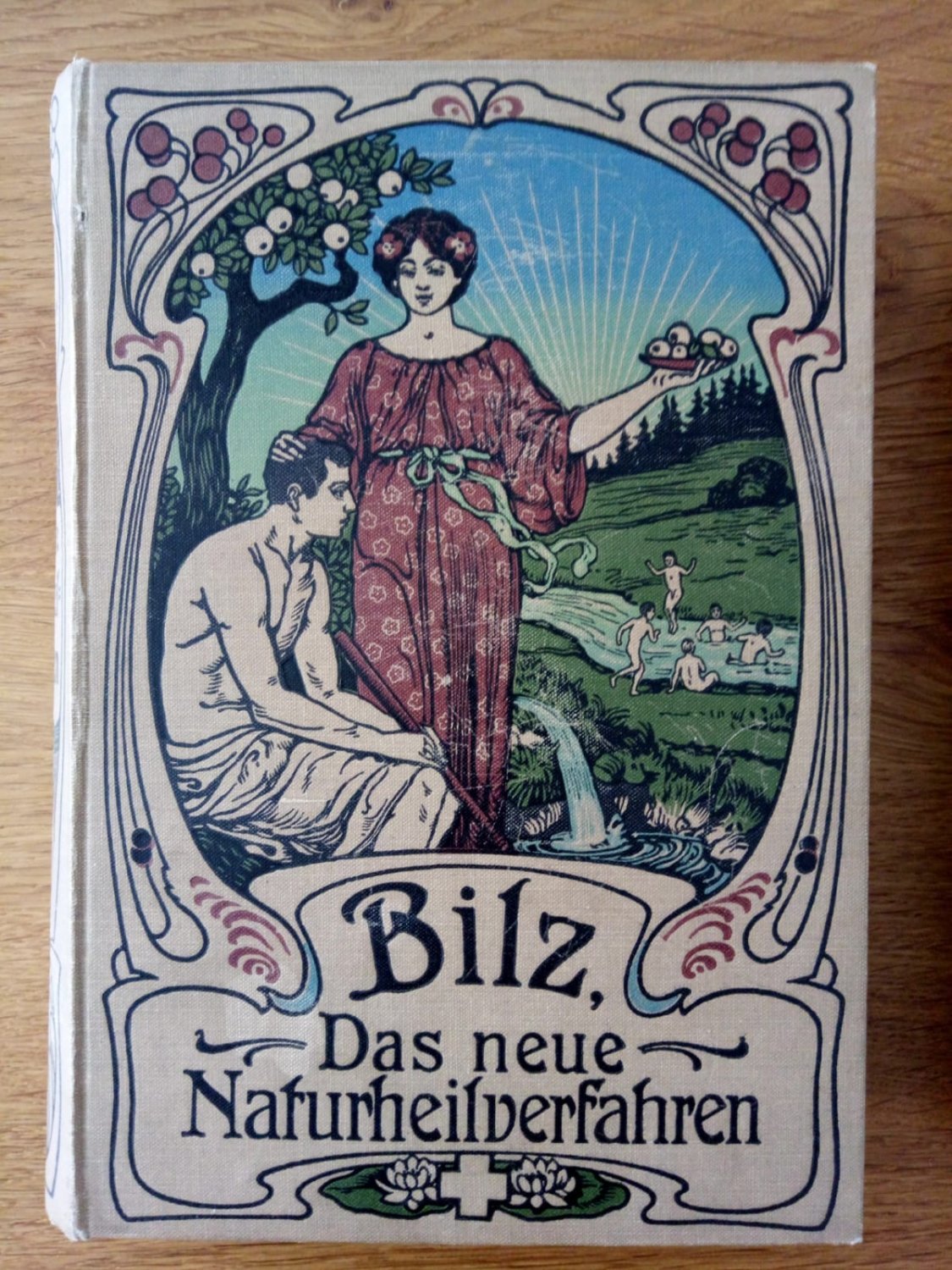 Das neue Naturheilverfahren “ (F.E. Bilz) – Buch antiquarisch kaufen –  A02xa5yE01ZZ5