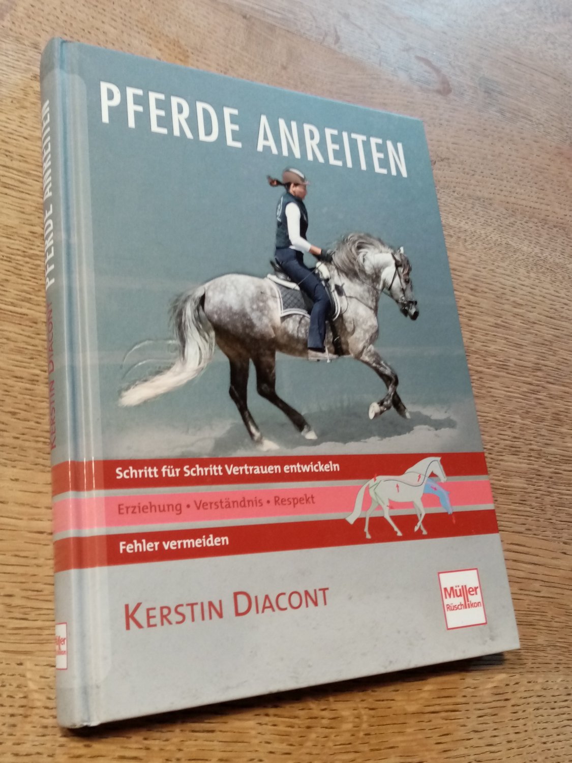 Pferd Anreiten Schritt Für Schritt