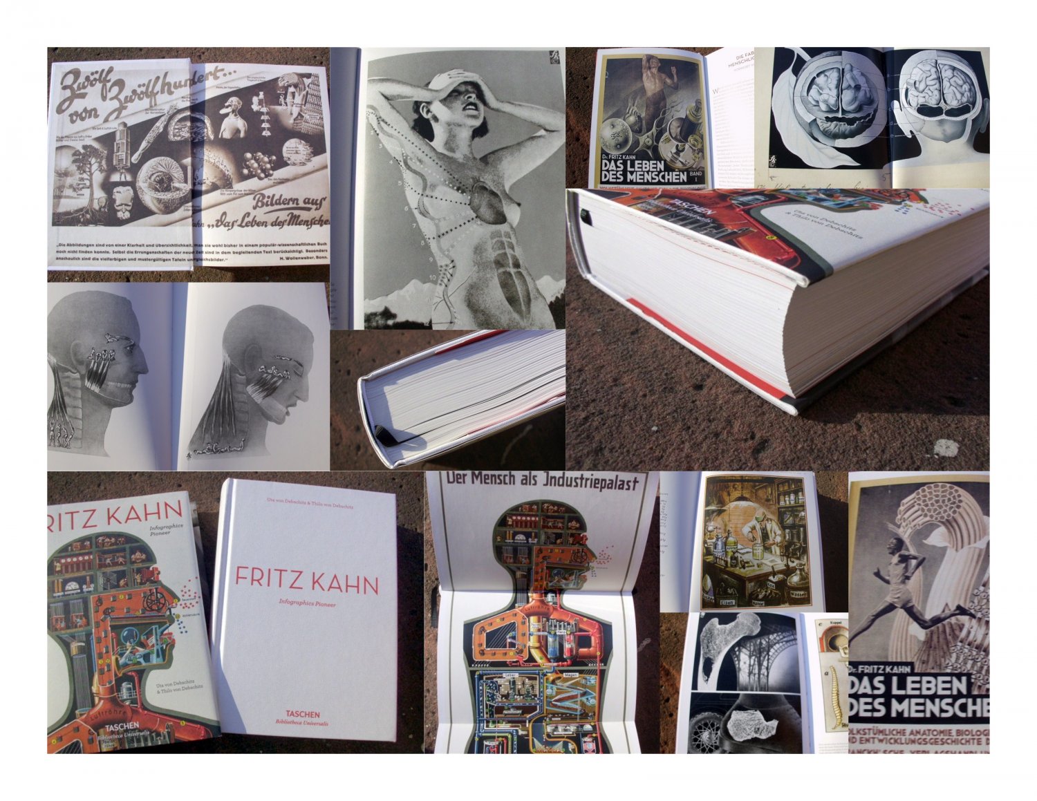 Fritz Kahn.“ (Debschitz, Uta von) kaufen Buch und Thilo A02z94zV01ZZX – Erstausgabe –
