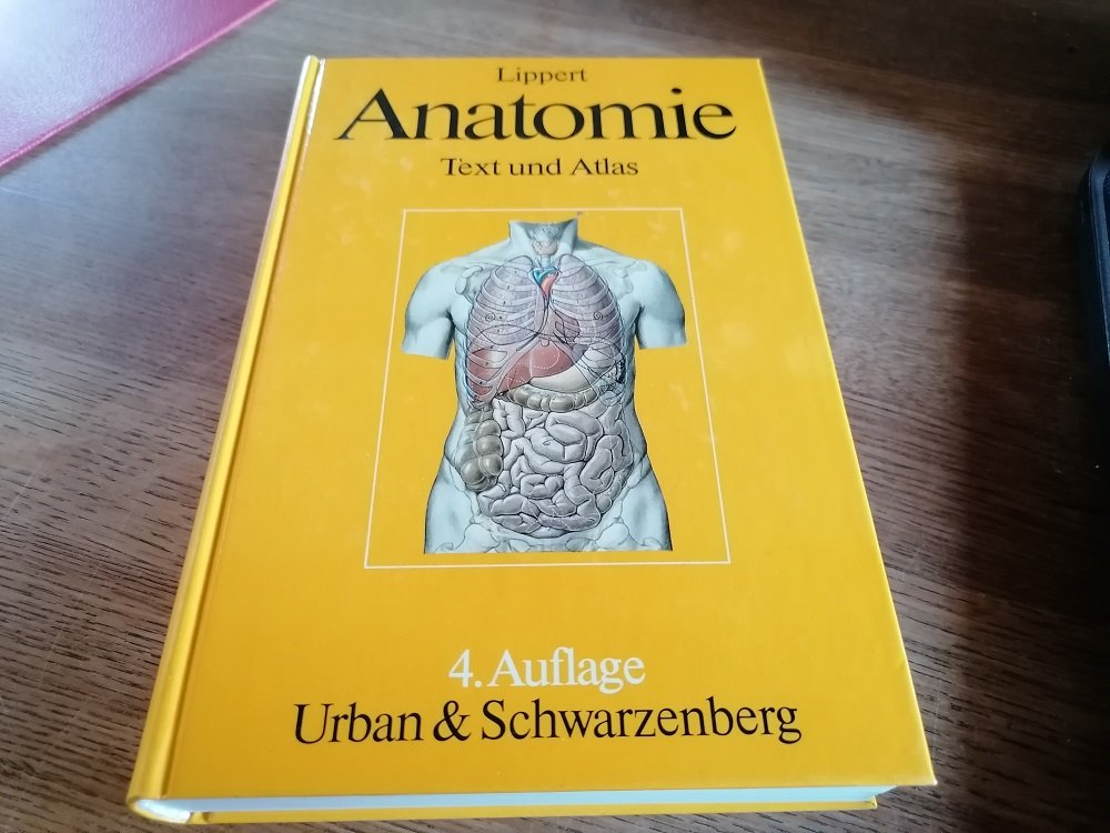 „Anatomie“ – Bücher Gebraucht, Antiquarisch & Neu Kaufen