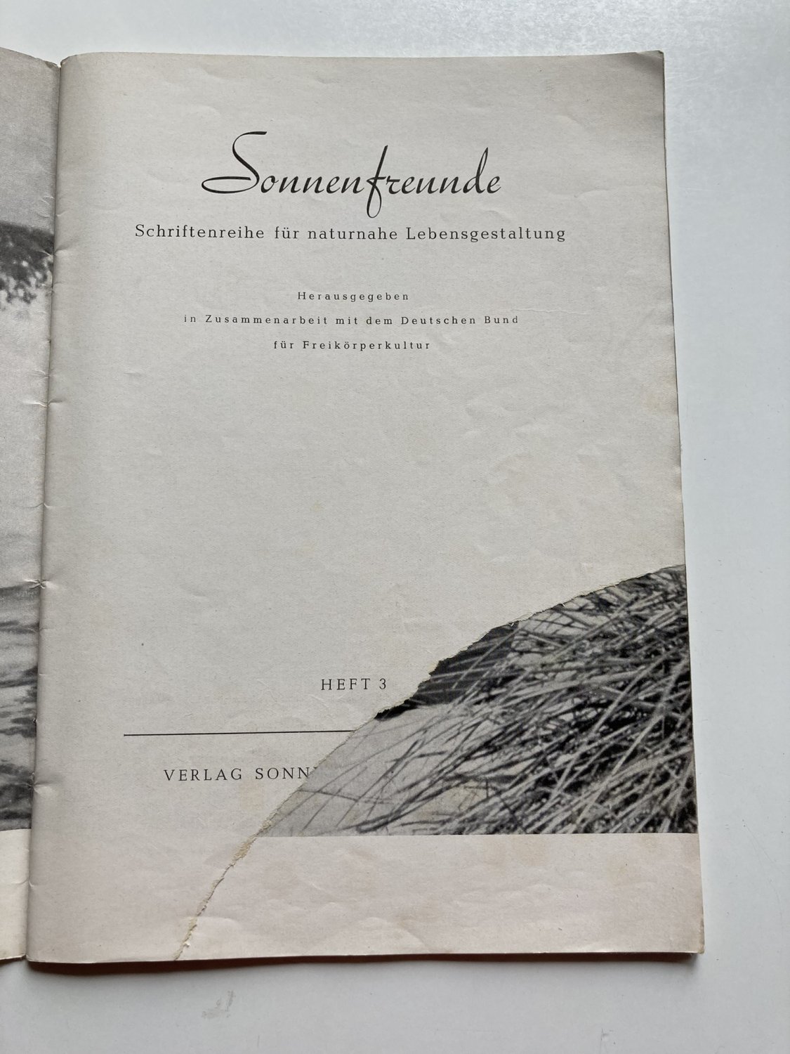 Sonnenfreunde 