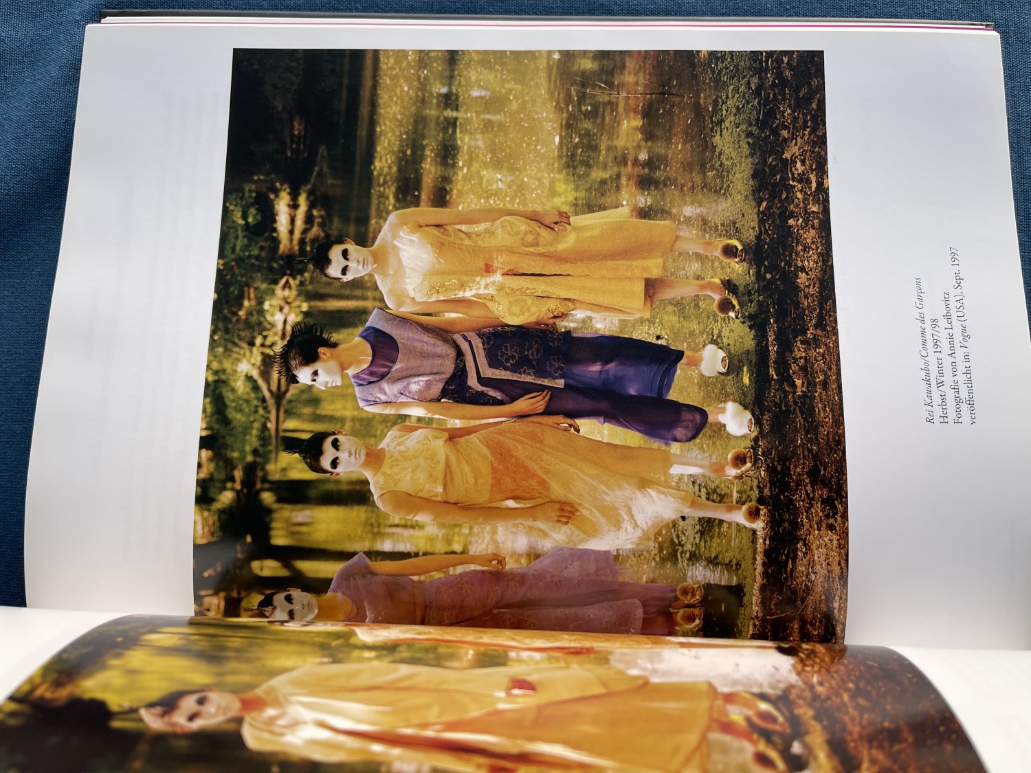 Future Beauty 30 Jahre Mode aus Japan“ – Buch gebraucht kaufen