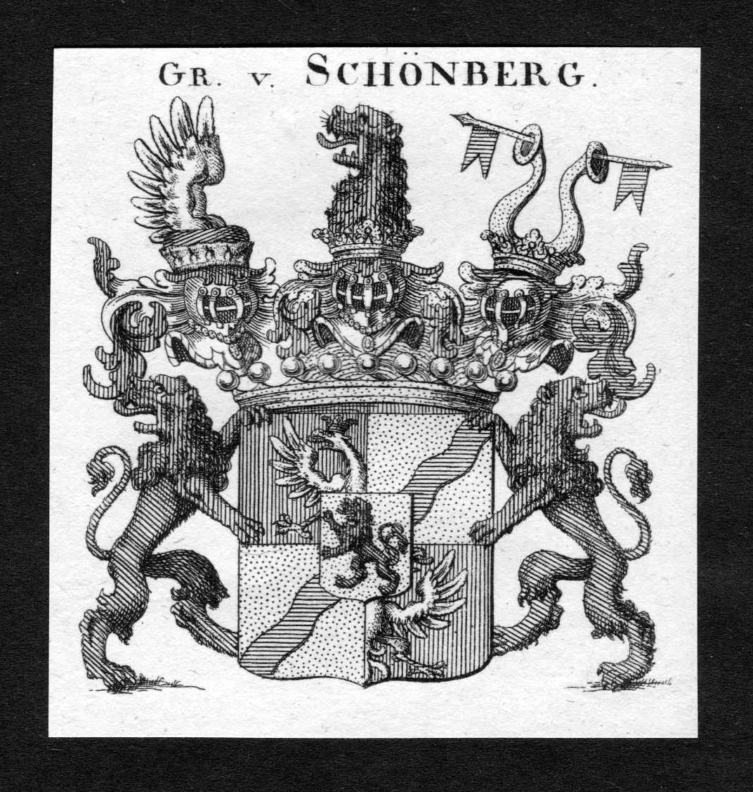„Schönberg Schönberg Schoenberg Wappen Adel coat of arms …“ Buch