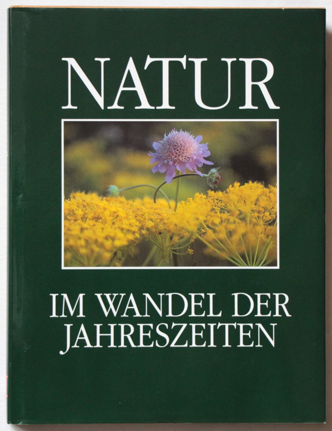 NATUR Im Wandel der Jahreszeiten“ – Bücher gebraucht ...