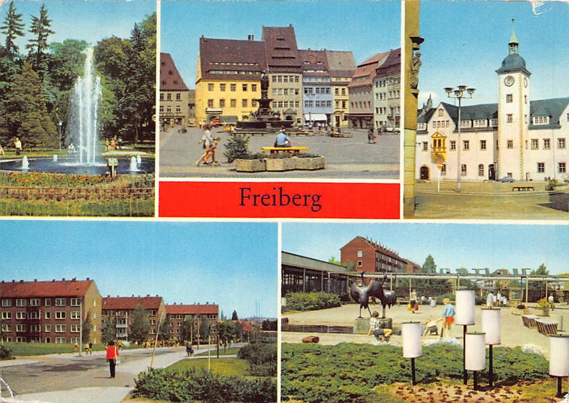 „Freiberg / Sachsen Mehrbildkarte mit Scheringerpark, …“ Buch