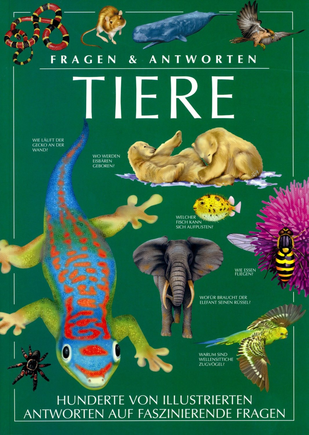 „Tiere /Kinderbuch“ – Bücher gebraucht, antiquarisch & neu kaufen