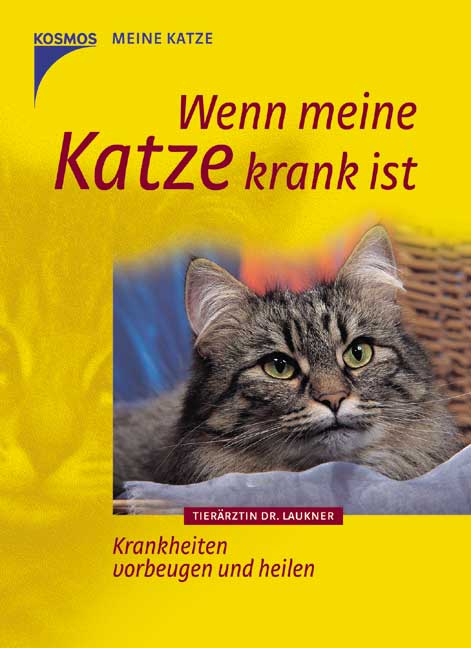 Meine Katze Buch