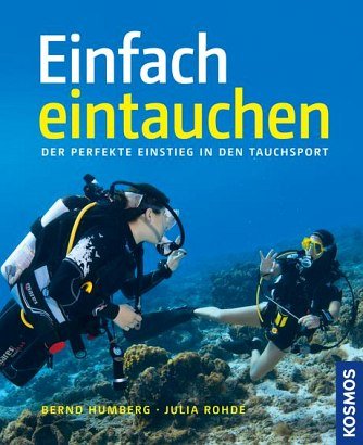 Forex der perfekte einstieg