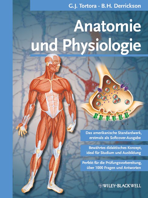 anatomy and physiology tortora pdf