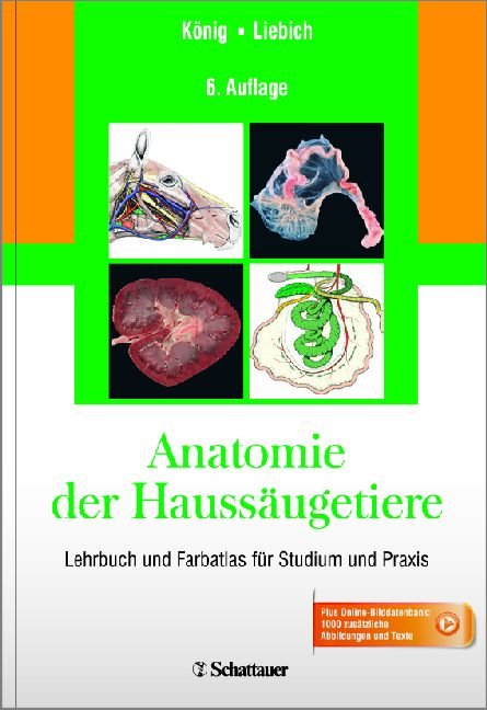 Anatomie Der Haussaugetiere Bucher Gebraucht Antiquarisch Neu Kaufen