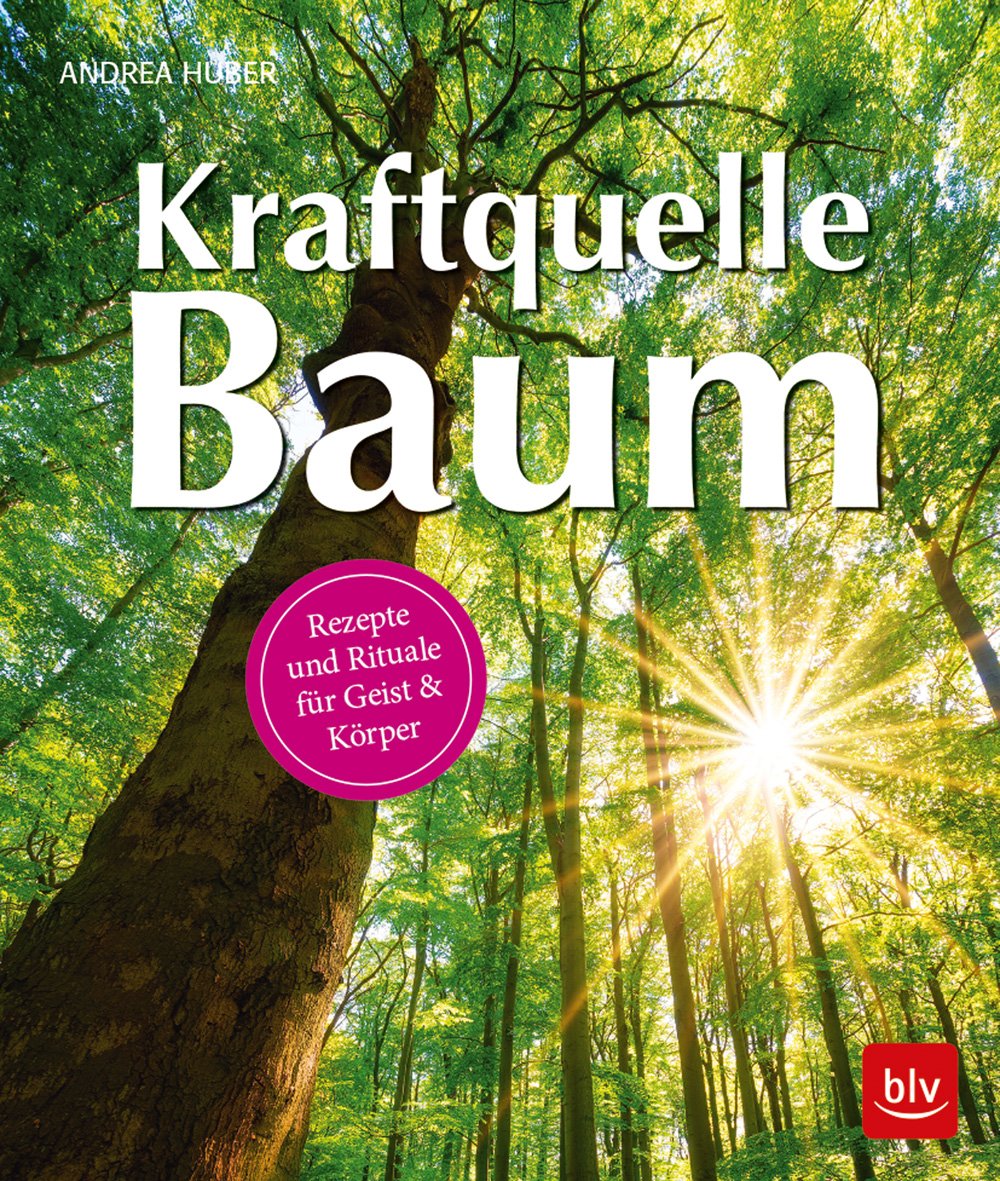 Kraftquelle Baum Rezepte Und Rituale Fur Geist Korper Andrea Huber Buch Gebraucht Kaufen A02jwupl01zz0