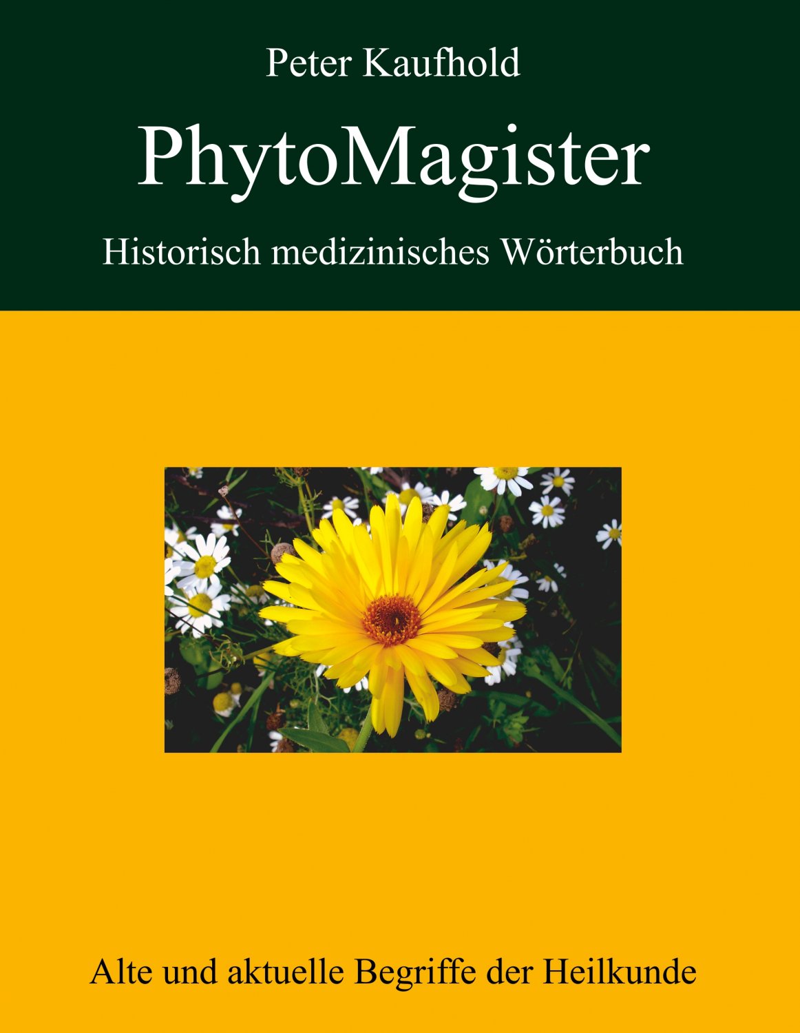 Phytomagister Bucher Gebraucht Antiquarisch Neu Kaufen