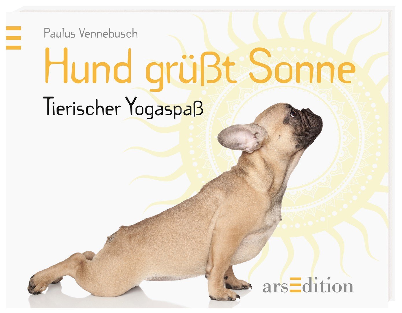 Hund grüßt Sonne - (Paulus Vennebusch) – Buch gebraucht kaufen – A02yiNsT01ZZ1