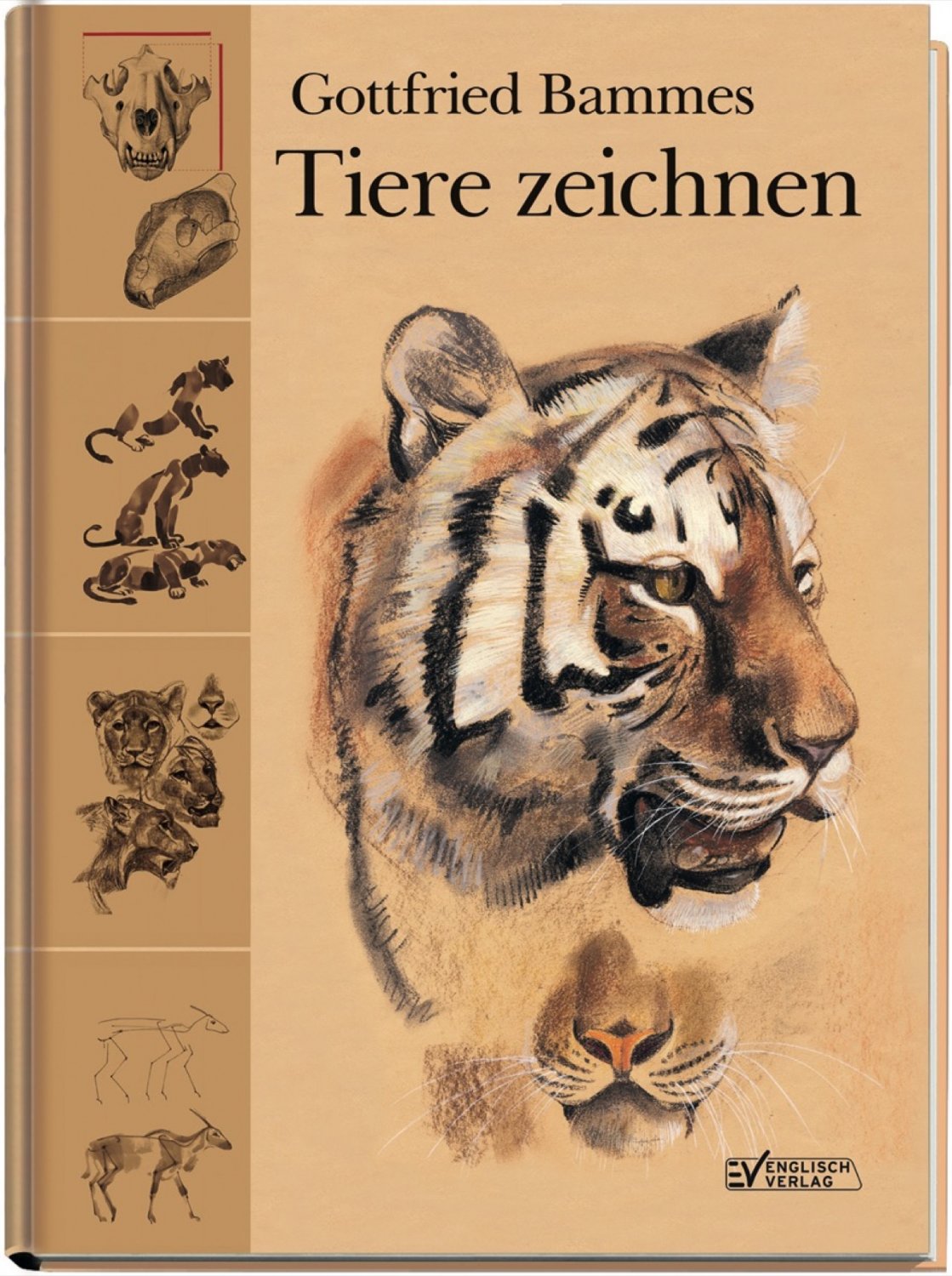 Bammes Gottfried Tiere Zeichnen Bücher Gebraucht