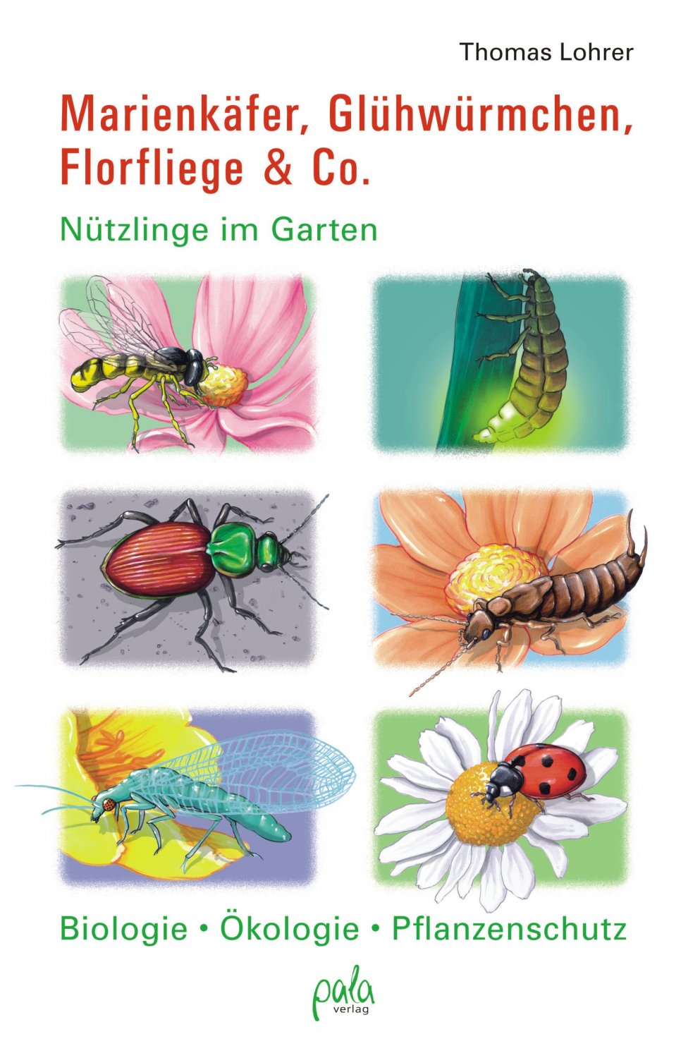 Isbn 9783895662775 Marienkafer Gluhwurmchen Florfliege Co