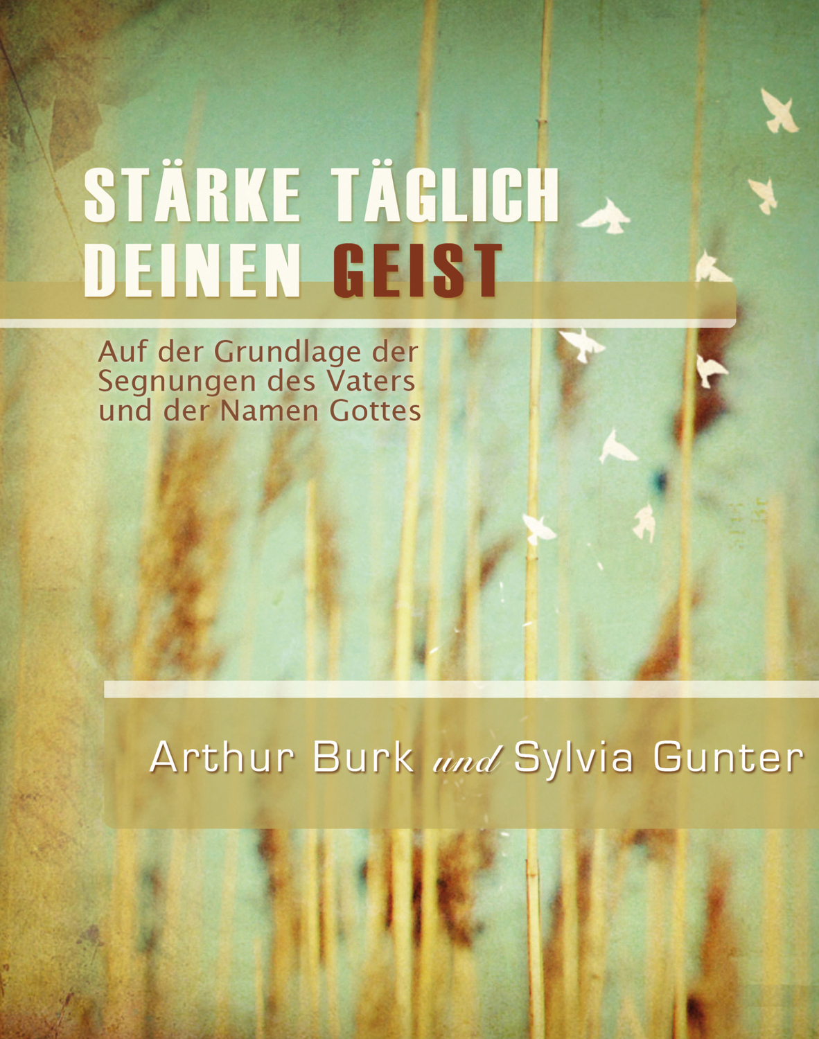 Starke Taglich Deinen Geist Auf Der Grundlage Der Segnungen Gunter Sylvia Burk Buch Gebraucht Kaufen A02jxc0n01zz0