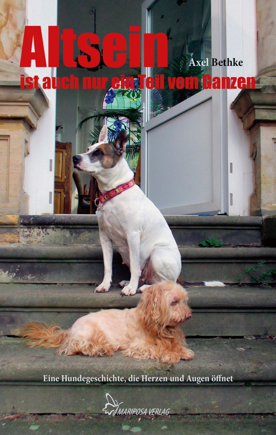 Axel Bethke Bucher Gebraucht Antiquarisch Neu Kaufen